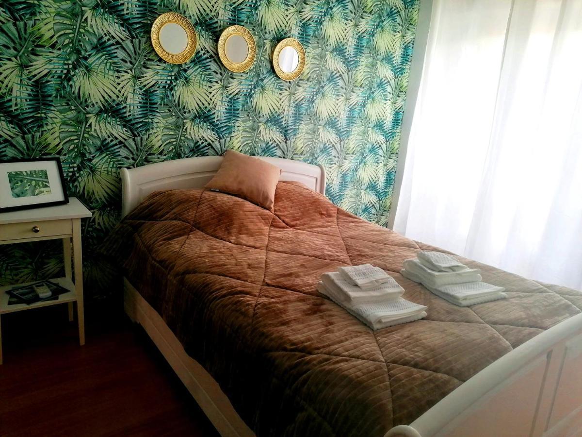 Cocoon Guest House Vendas Novas Zewnętrze zdjęcie